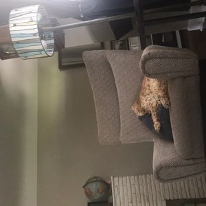 Meet your Posher, Bella